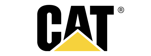 cat cat